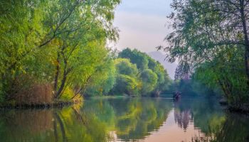 Xixi Wetland